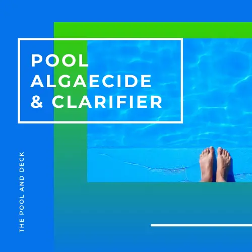 Is Algaecide A Clarifier? (Important Differences You Need To Know!)