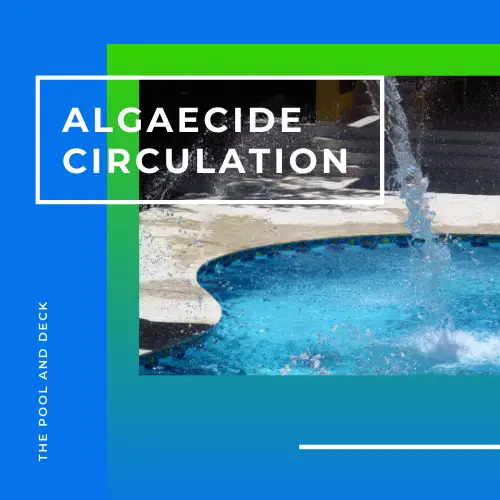 The Best Way to Put Algaecide In Pool: Why Good Circulation Helps?