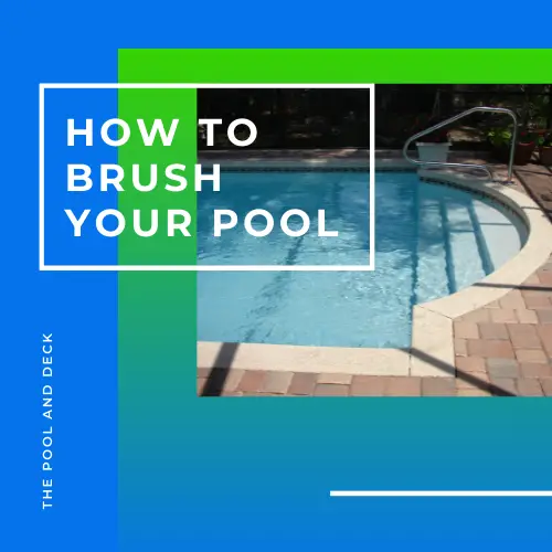 How To Brush Your Pool? (The Best Way Explained!)