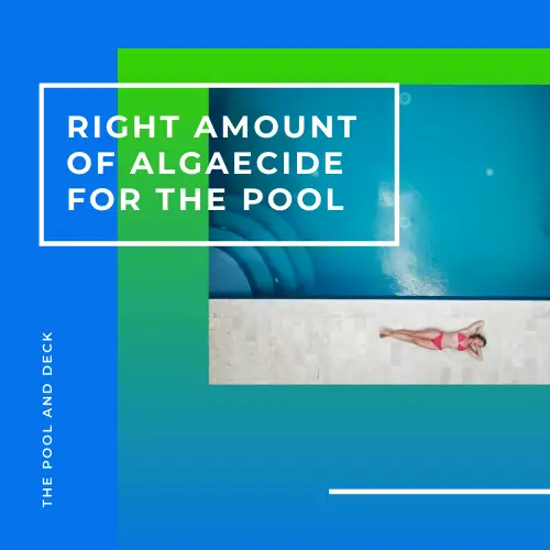 Right Amount Of Algaecide For Pool: Most Helpful Guide