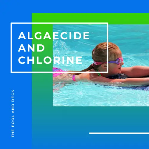 Algaecide vs Chlorine: What Is Better? (Know The Truth!)