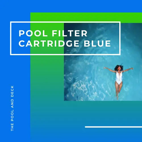 Pool Filter Cartridge Blue? (Best Tips That Will Actually Help!)