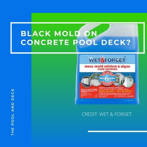 Black Mold on Concrete Pool Deck