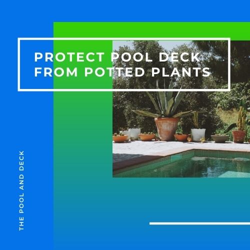 Protect Pool Deck from Potted Plants