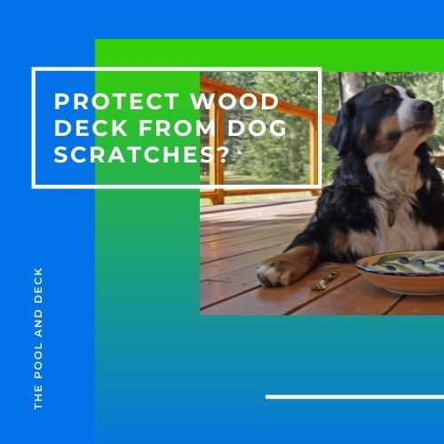 How To Best Protect Wood Deck From Dog Scratches?