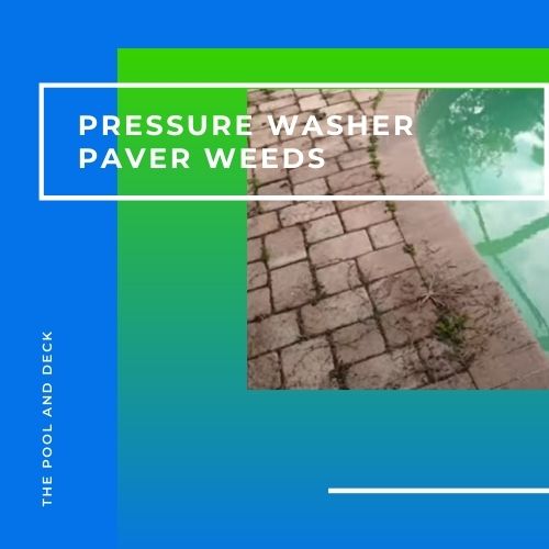 Pressure Washer Paver Weeds