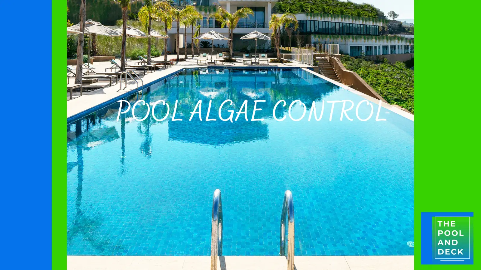 Pool Algae Control: 8 Top Tips That Are Effective !