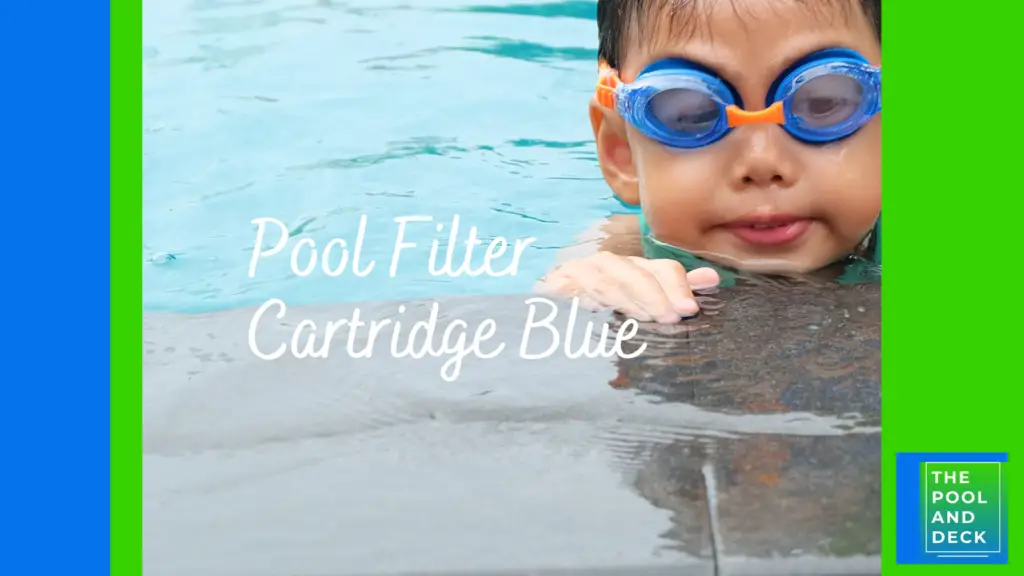 Pool Filter Cartridge Blue