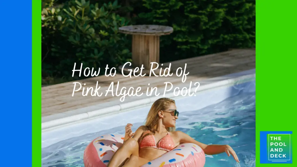 How to Get Rid of Pink Algae in Pool?