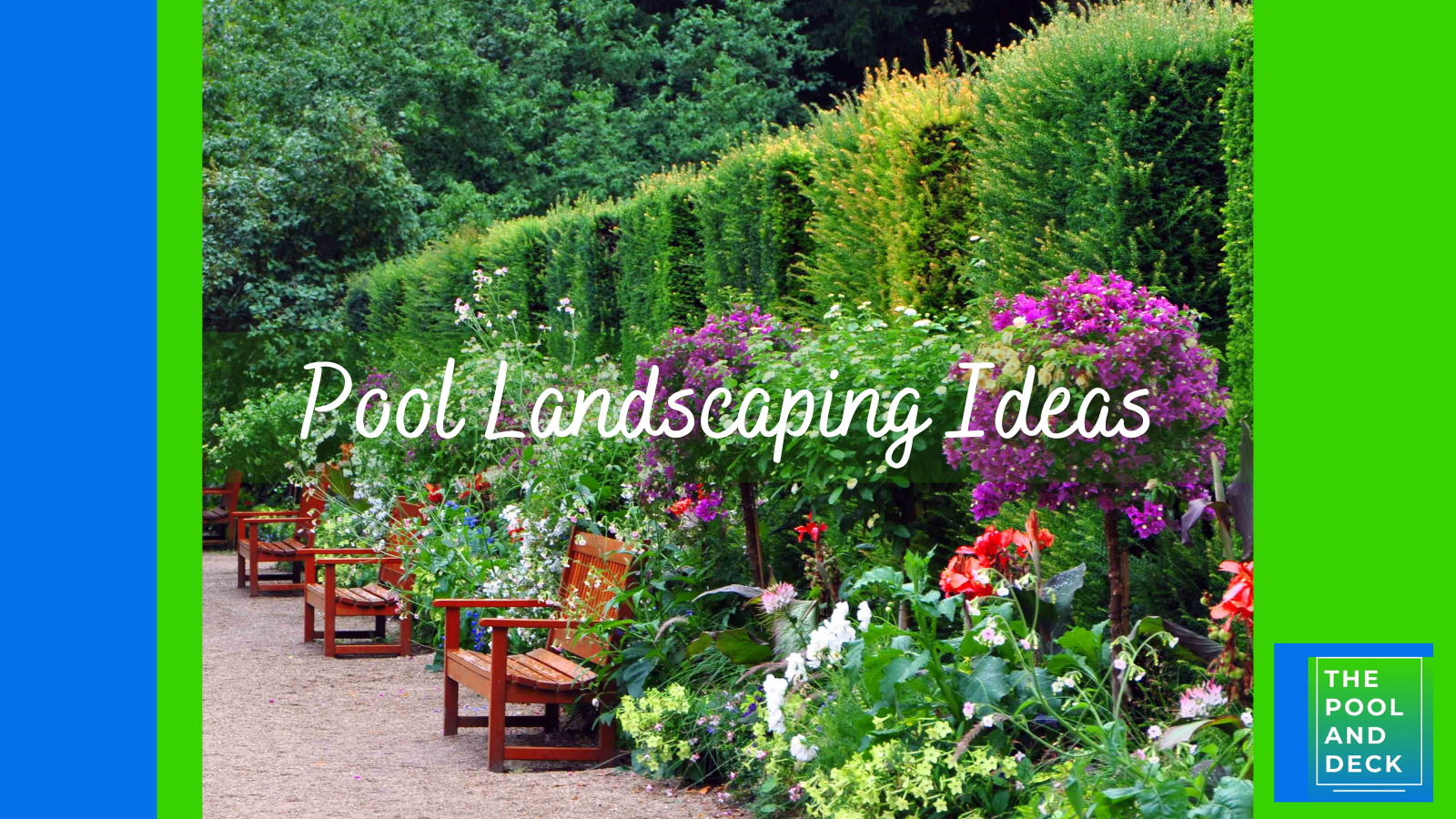 11 Pool Landscaping Ideas That Are Simple & Affordable!