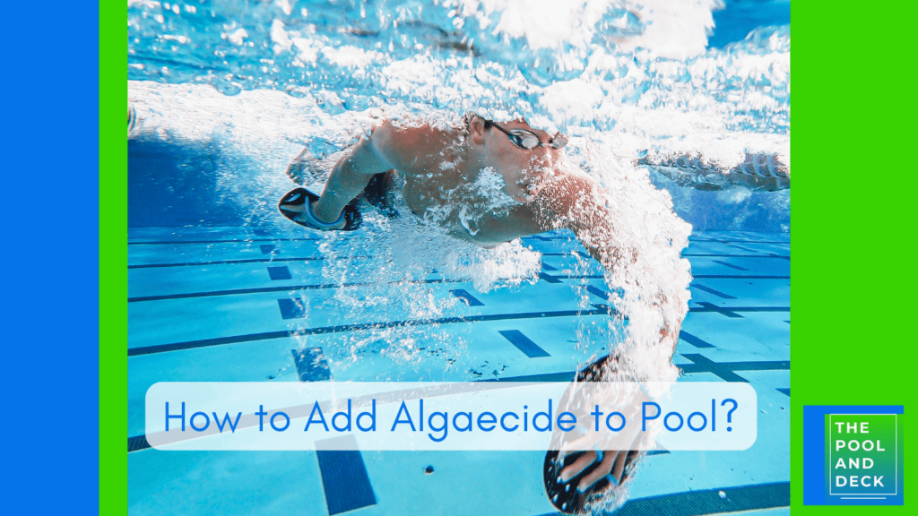 How to Add Algaecide to Pool?